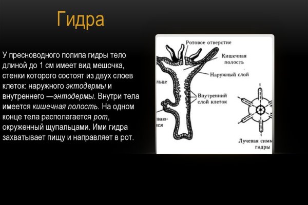 Удалился аккаунт кракен