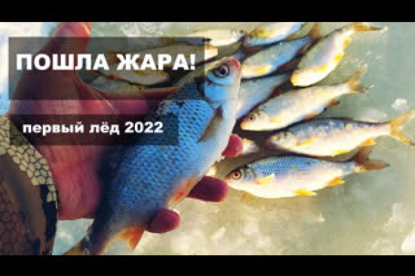Кракен сс