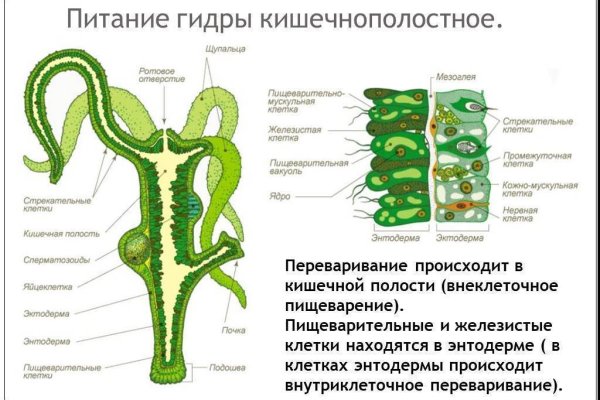 Kraken ссылки актуальные 2025 г