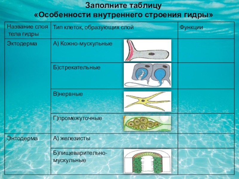 Ссылка кракен через тор